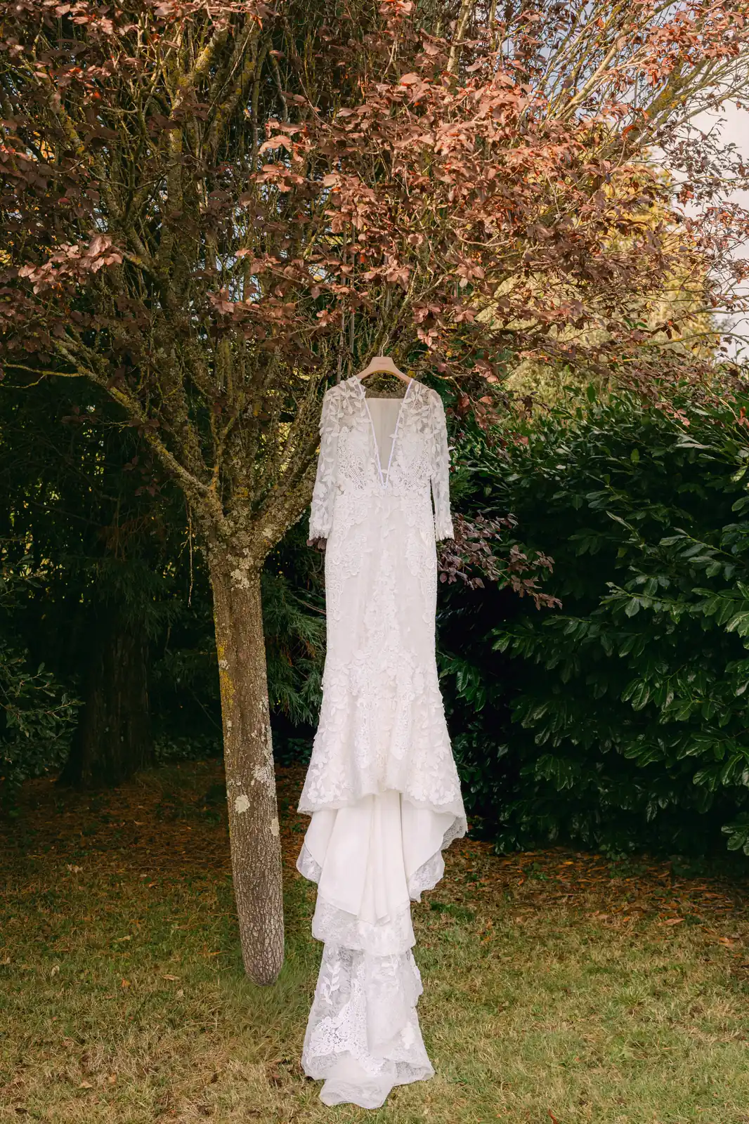 The wedding dress hanging from a tree during the getting ready