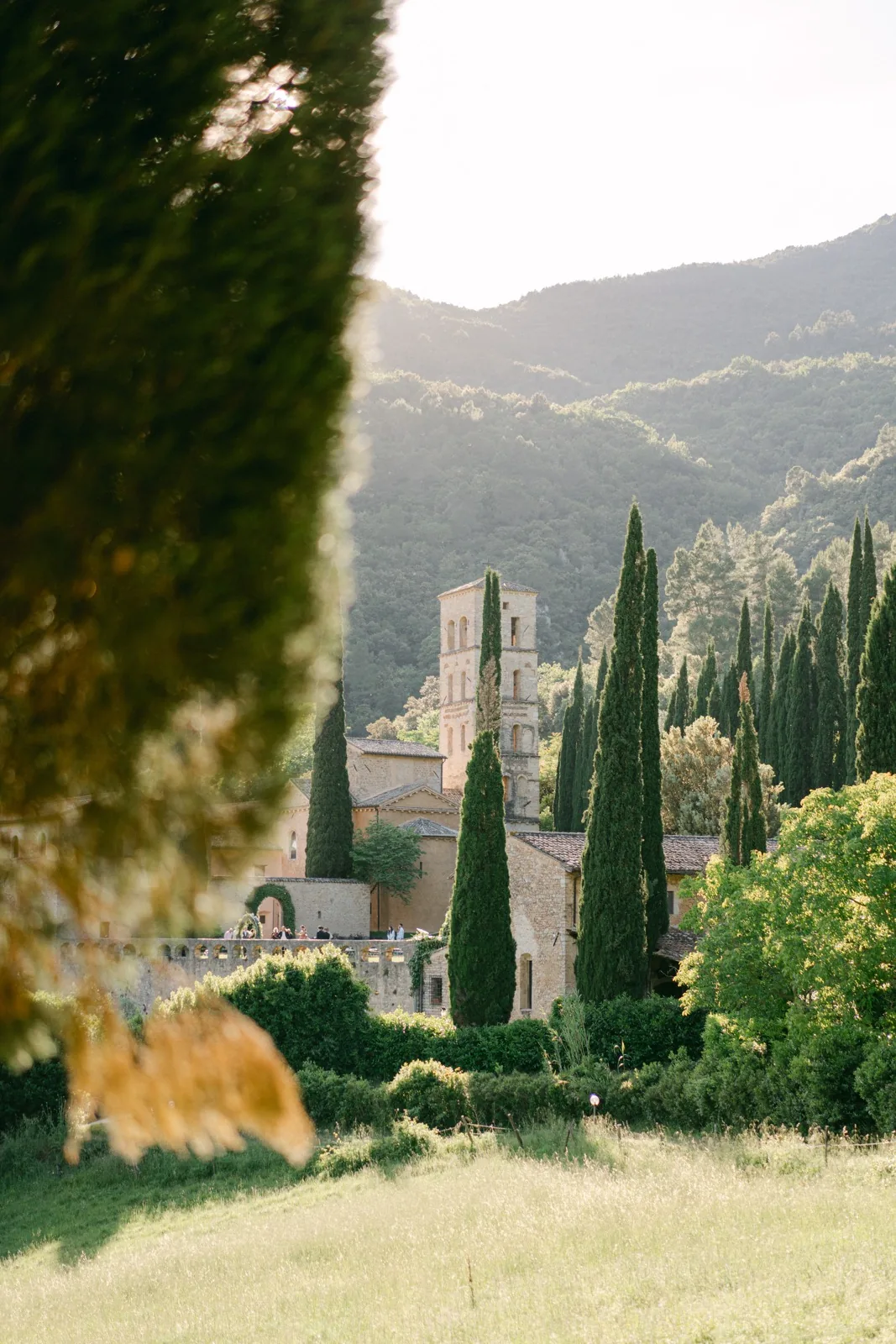 L’Abbazia San Pietro in Valle vista dal viale: il campanile tra i cipressi e i monti della Valnerina