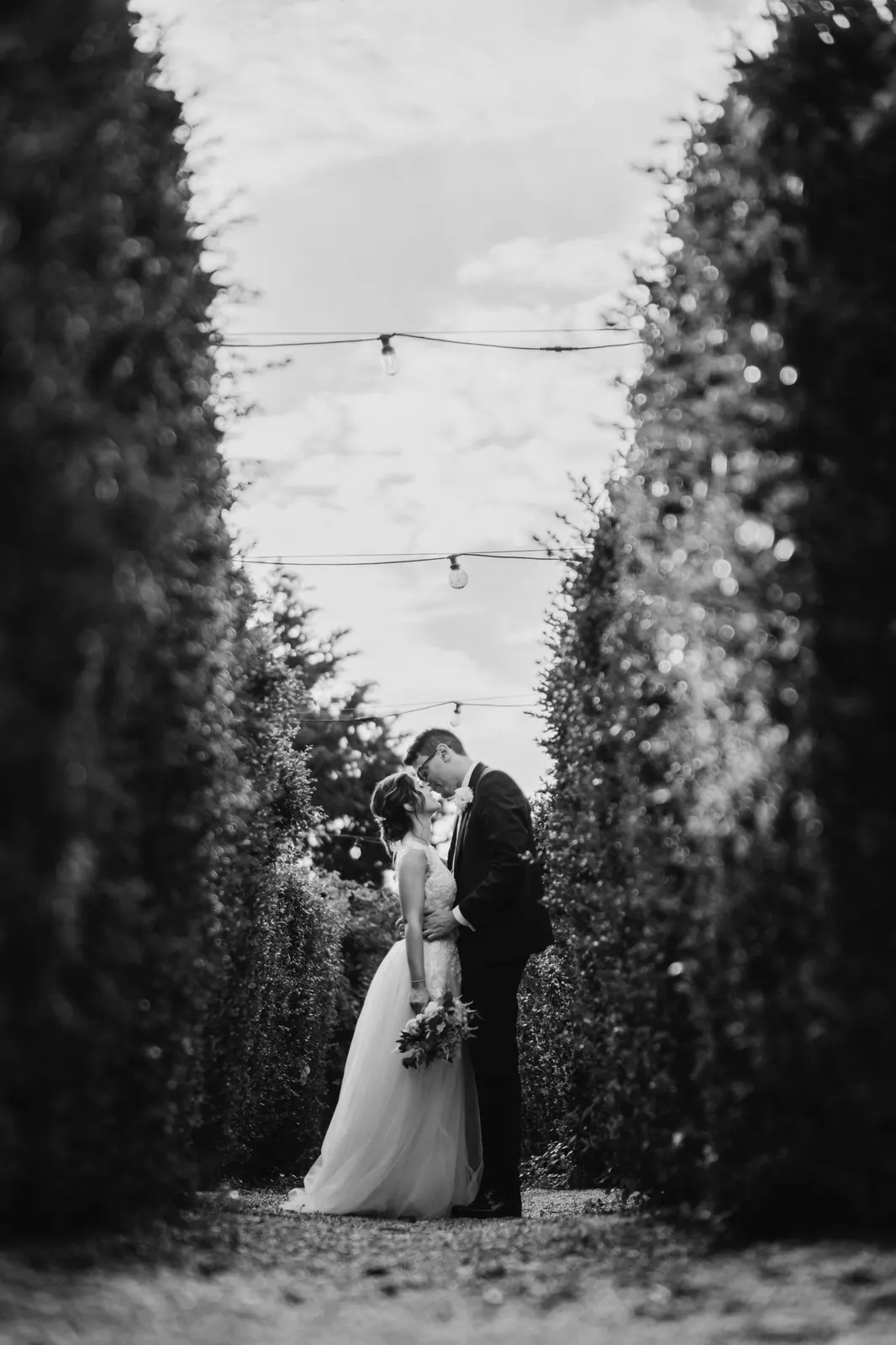 The couple kissing in the avenue of tall hedges at Castello di Montignano, in black and white