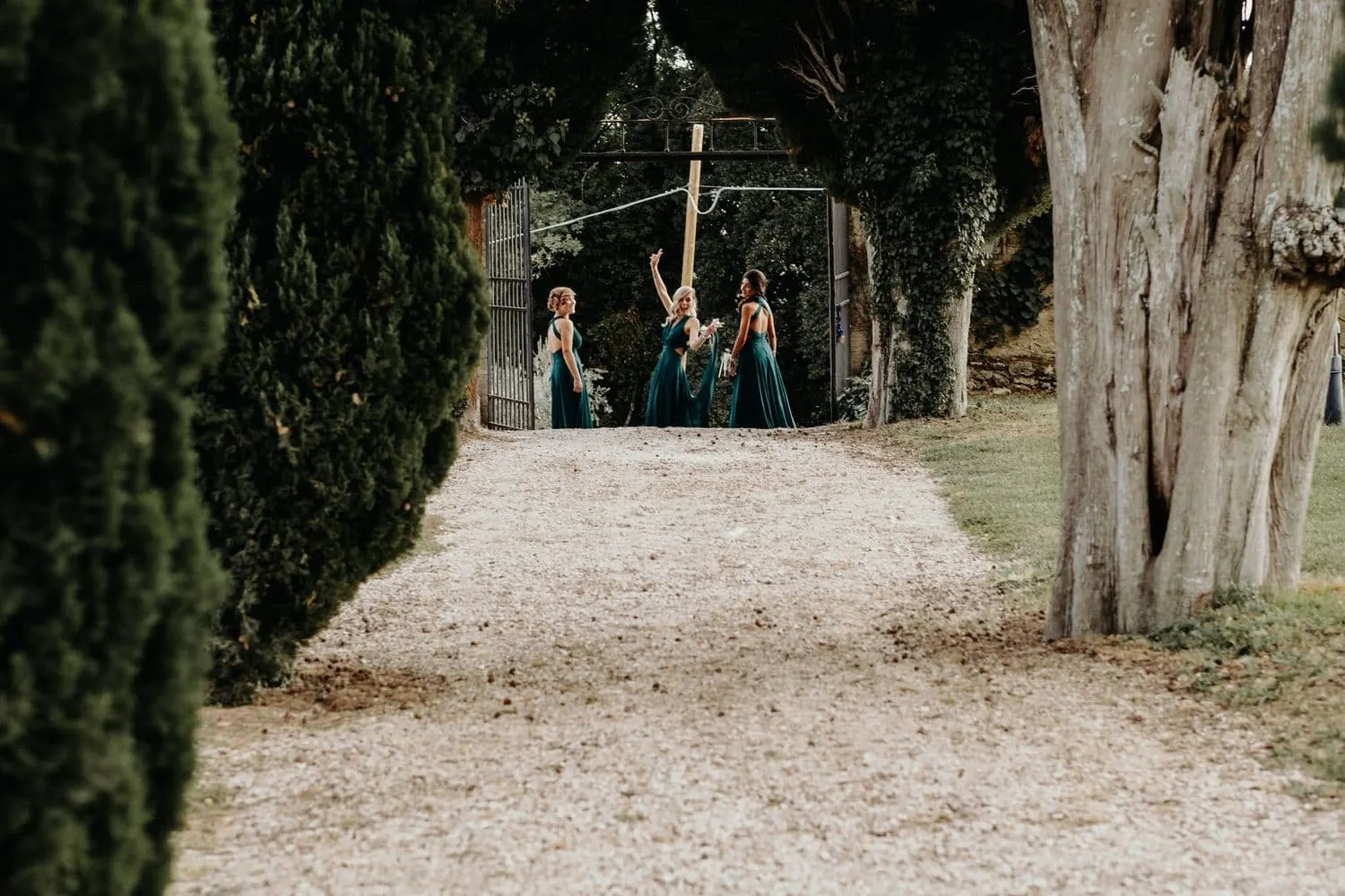 Le damigelle in fondo al viale dei cipressi