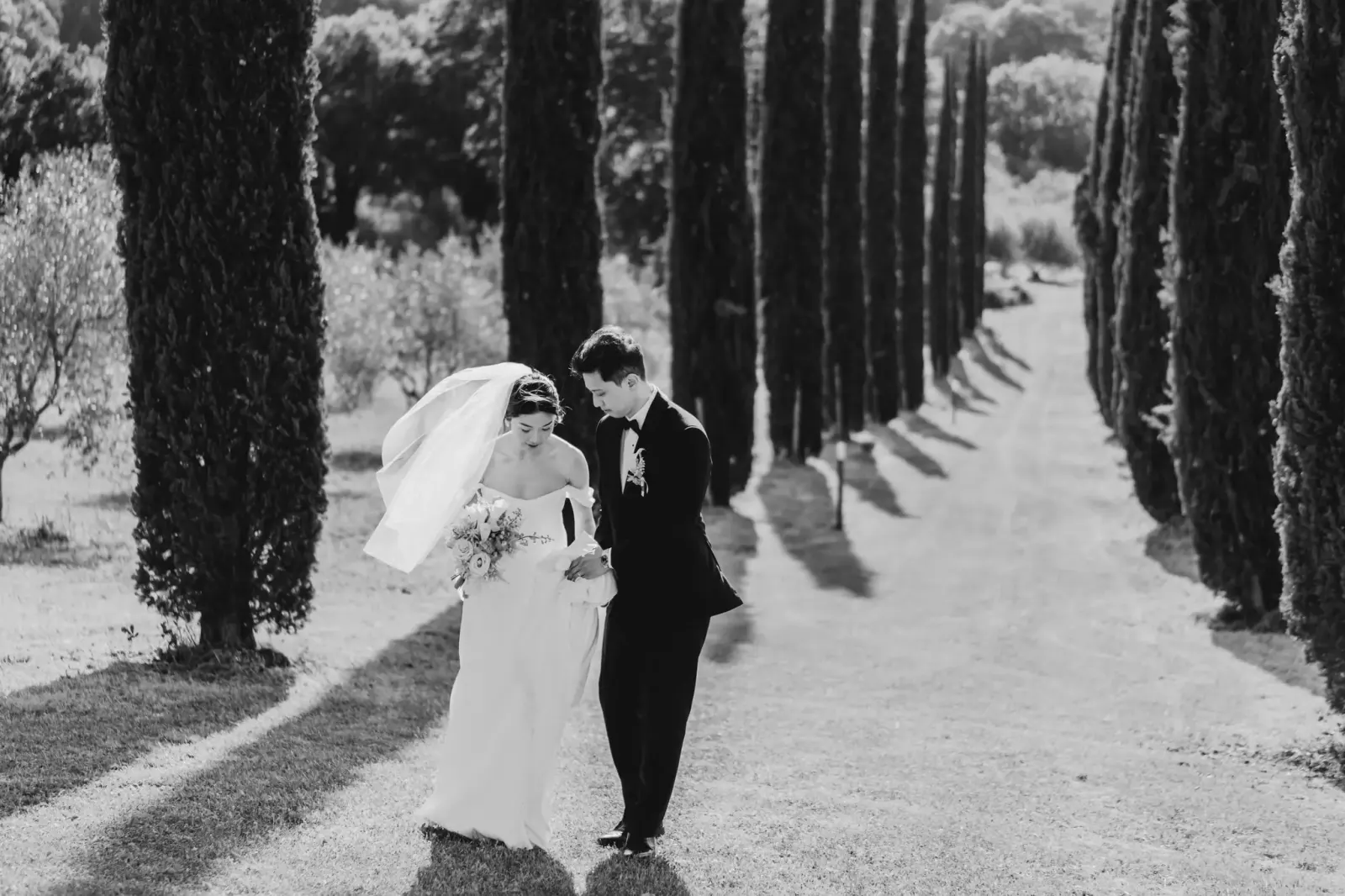 Audrey and James in the cypress avenue with the veil in the wind, in black and white