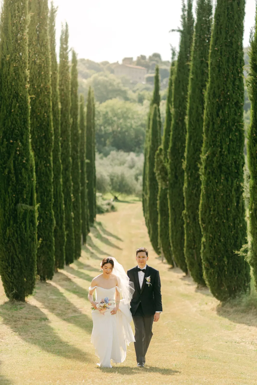 The couple hand in hand in the cypress avenue, in late afternoon light